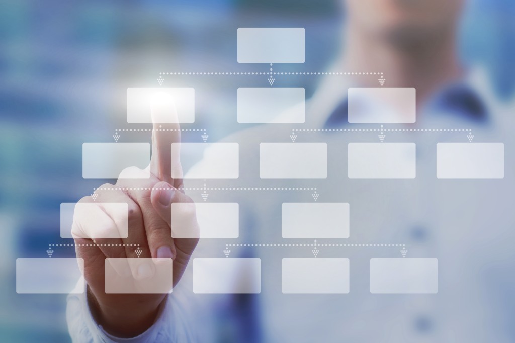 Organistation und Gremien