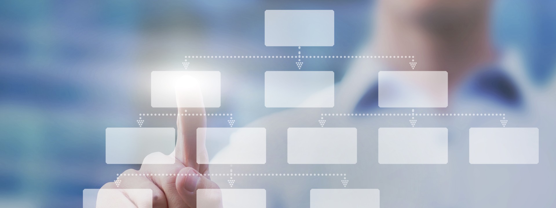 Organisation and Bodies