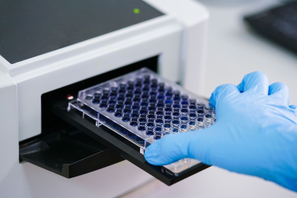 Biocompatibility Testing