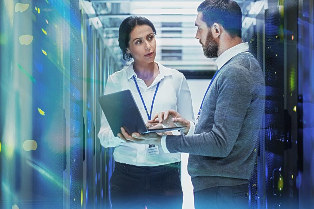 IT Security Engineers 