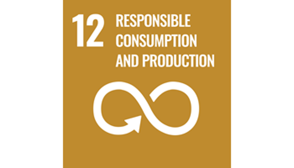 SDG 12