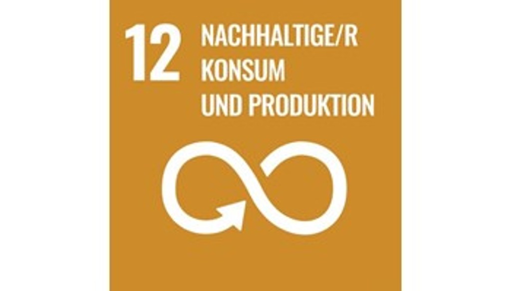 SDG 12