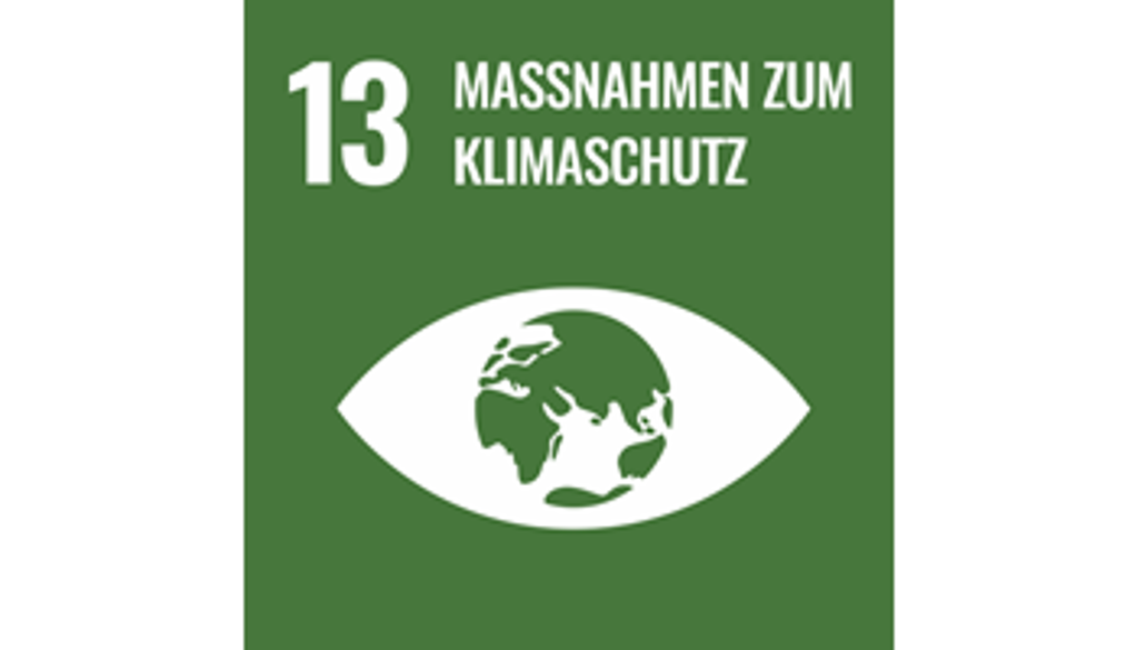 SDG 13