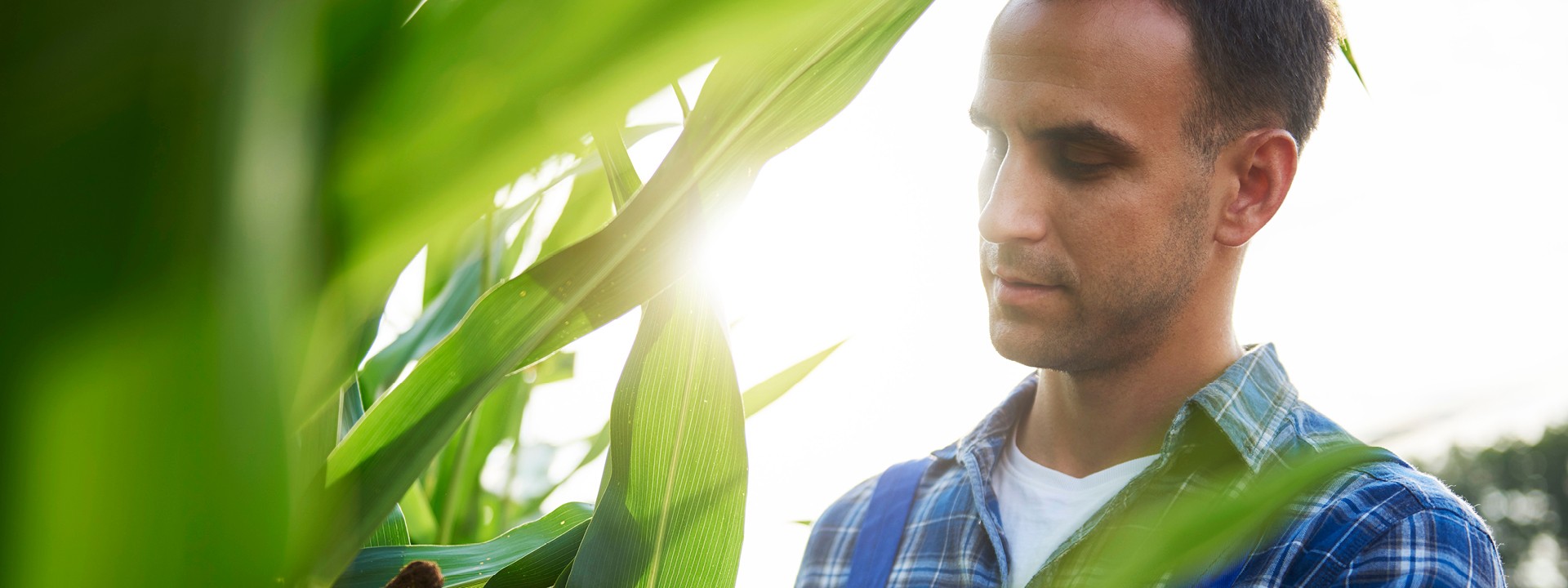 Being more safe and sustainable. Systematically. With certification solutions for your food sector!