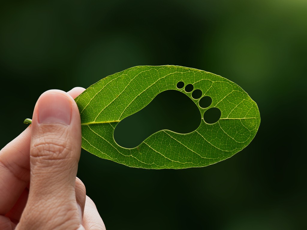 Climate Protection Services