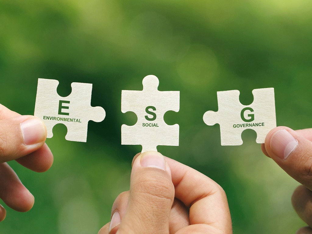 Sustainability Management