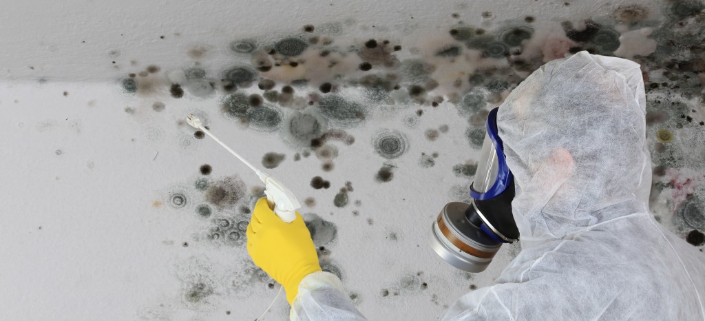 Hazardous building materials | TÜV Rheinland