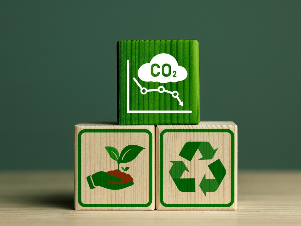 Download “The Carbon Border Adjustment Mechanism (CBAM)