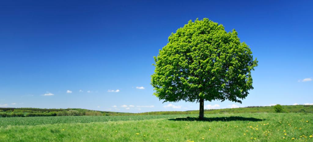 Analyse du cycle de vie du produit et empreinte carbone