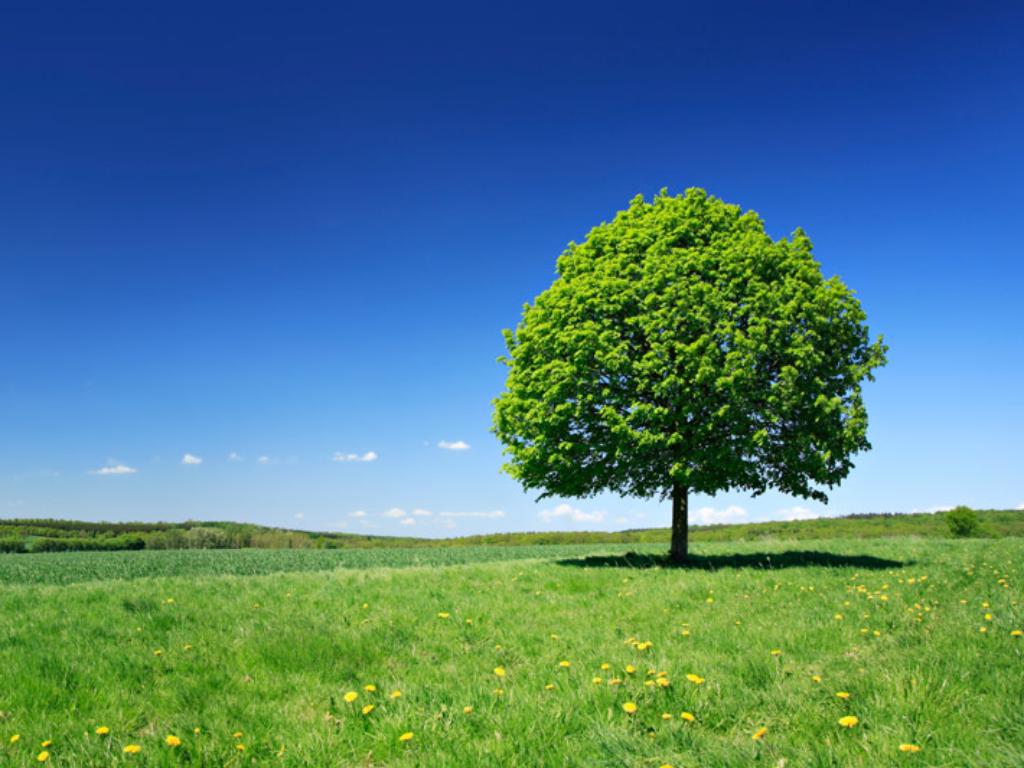 Analyse du cycle de vie du produit et empreinte carbone