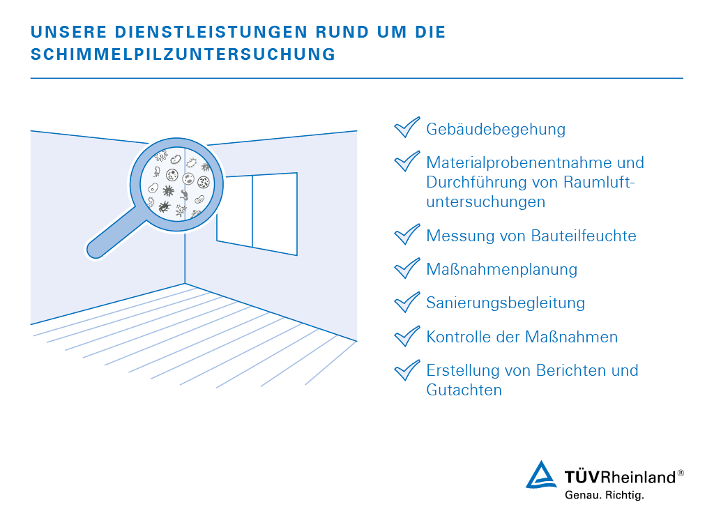 Schimmelpilzuntersuchung vom Experten Unsere Services bei Schimmelbefall | TÜV Rheinland
