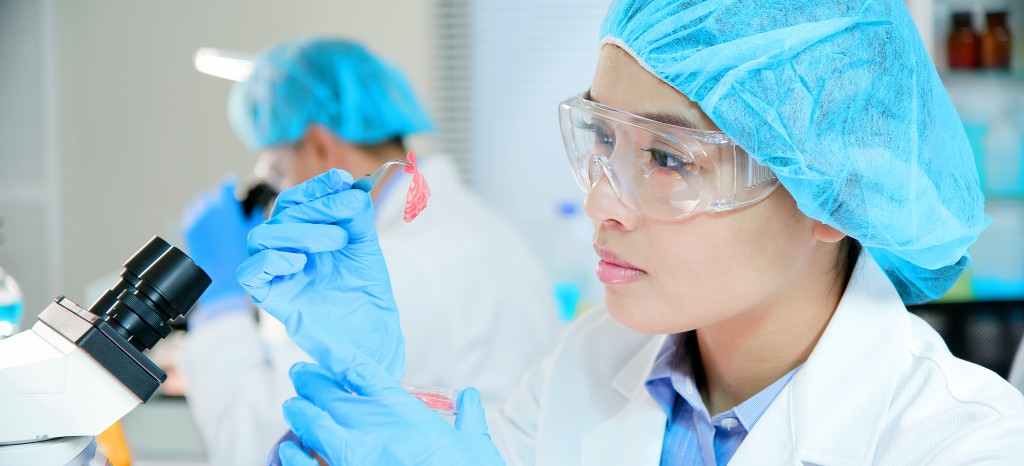 GMP HACCP Microbiological Testing Services