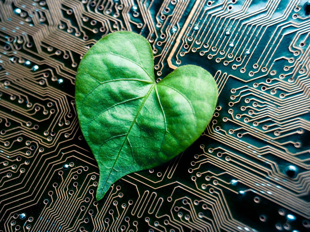 Green Product Mark Zertifizierung für elektrische Produkte