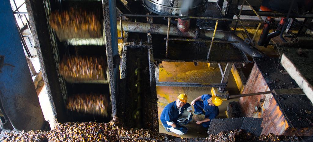 RSPO and Supply Chain Certification