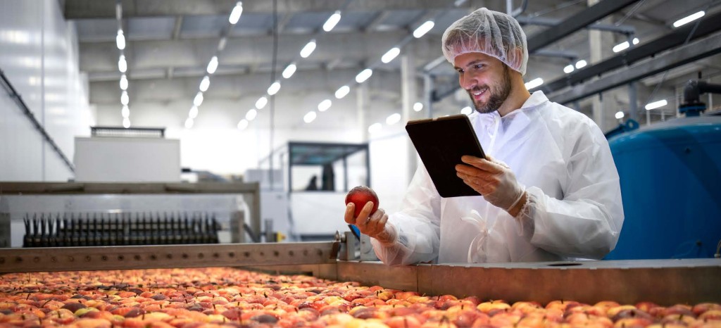 Food company employee inspecting fruit
