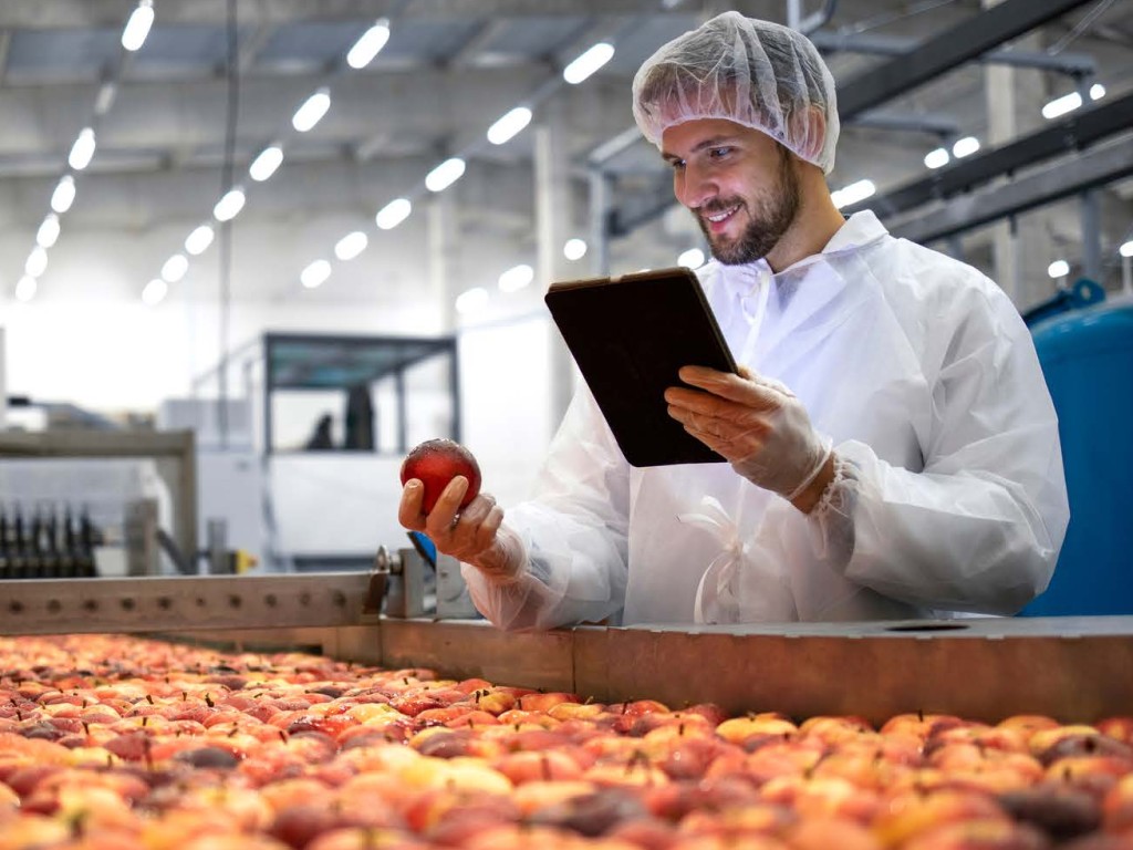 Food company employee inspecting fruit