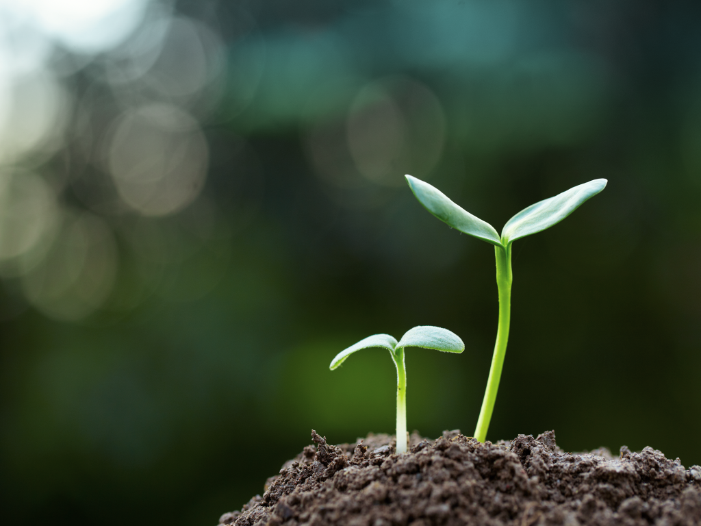 Agricultural Commodities